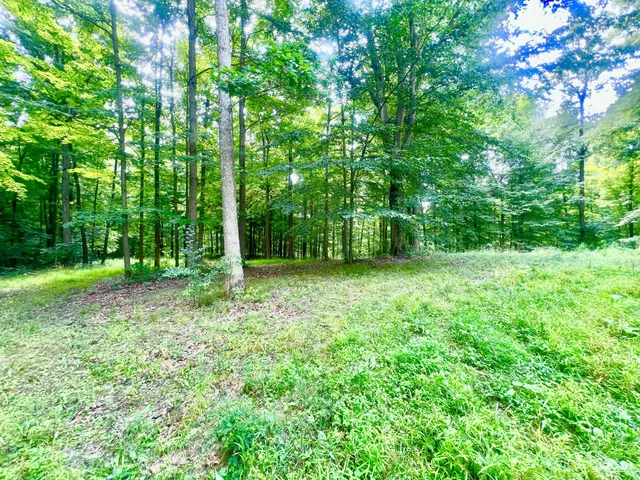 $199,900 | 2201 South Sand Lake Road, Hillsdale, MI 49242