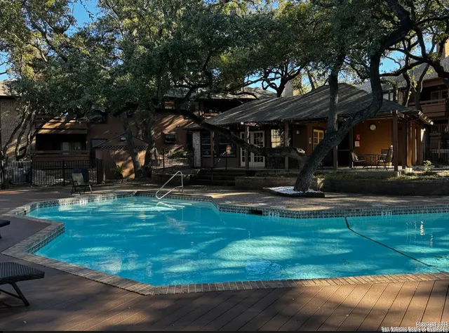 a view of a park with large trees