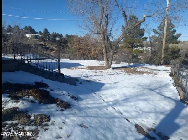 a view of a yard with a tree