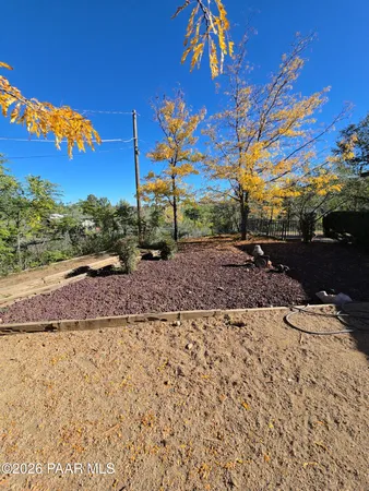 a view of a backyard