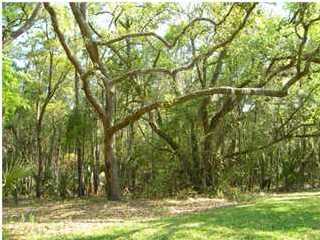 2425 Seabrook Island Road Seabrook Island, SC 29455 - Photo 1 of 1 Primary Photo