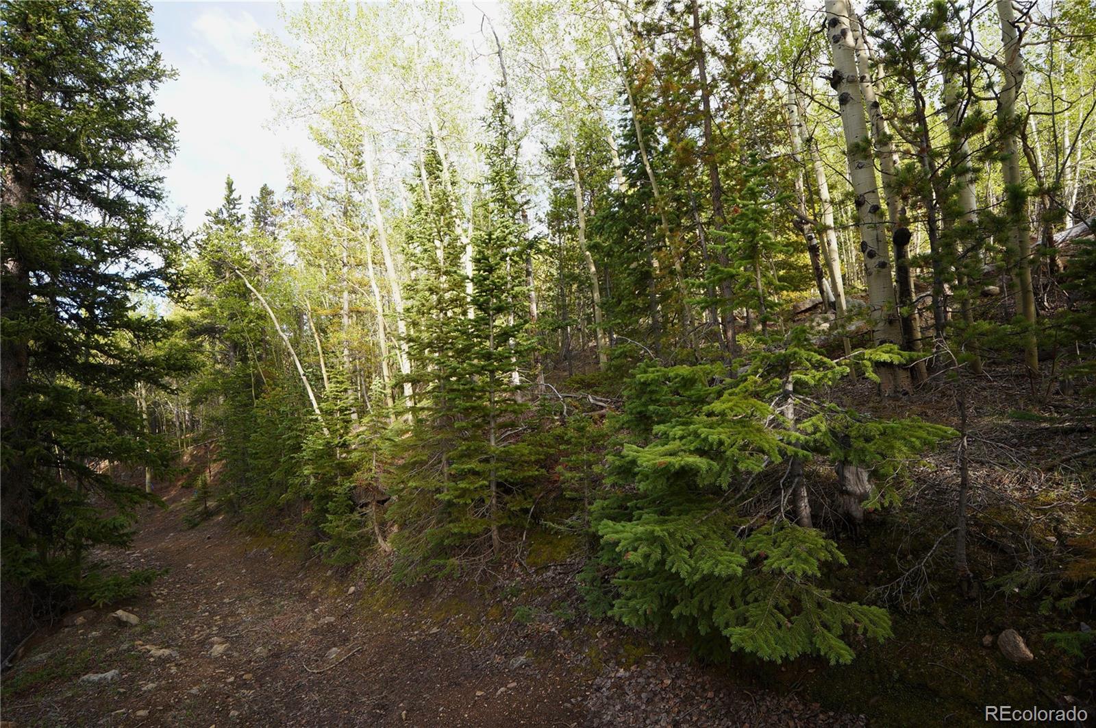 0 Trail Creek Road Idaho Springs, CO 80452 - Photo 13 of 16