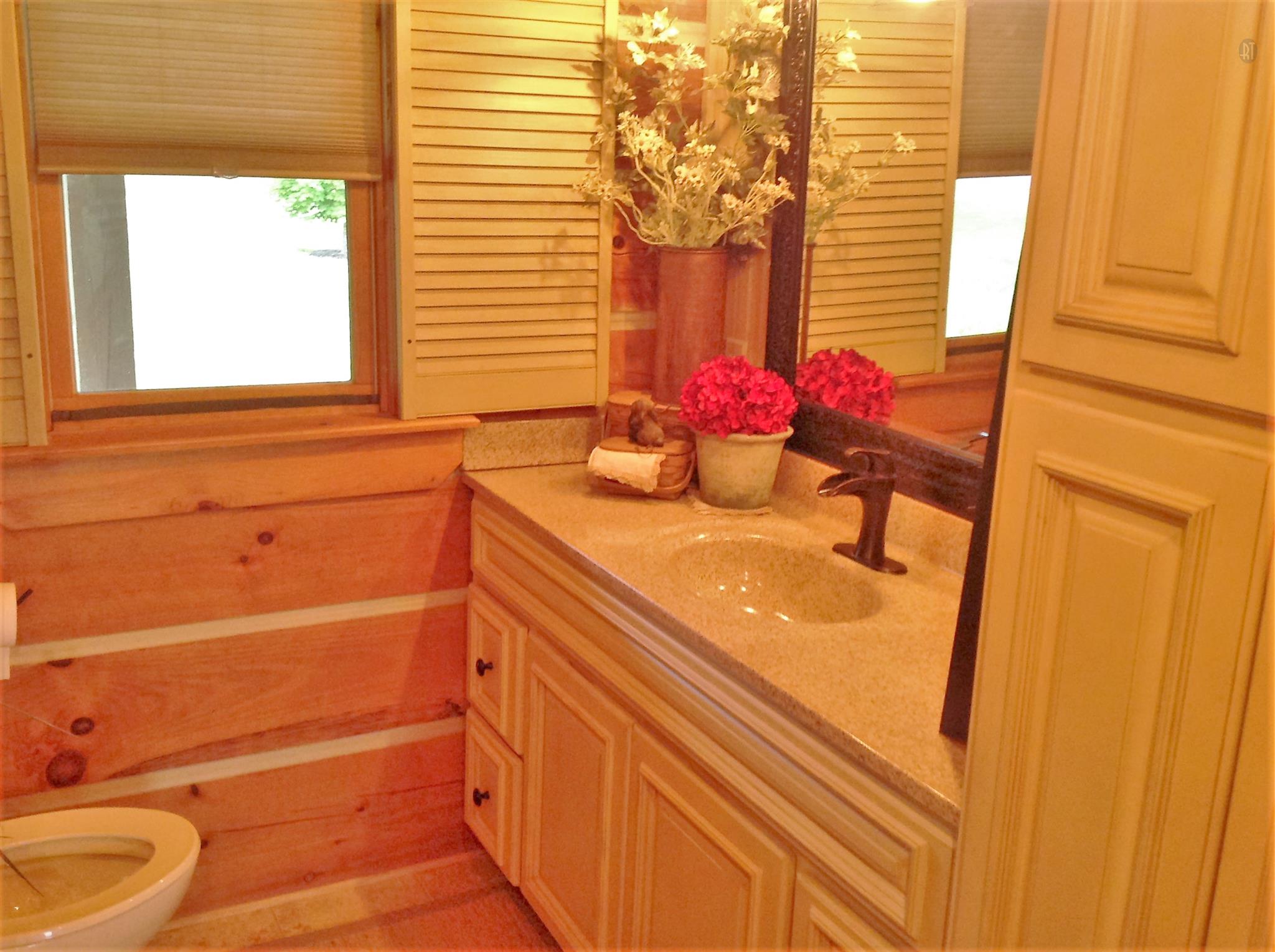 1099 Pinhook Road Lebanon, TN 37090 - Photo 19 of 26 a bathroom with a sink and a mirror