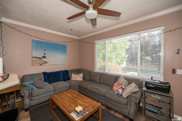 677 300 North, Unit 7 Provo, UT 84606 - Photo 2 of 16 Spacious living area featuring a wide window with horizontal blinds, providing ample natural light