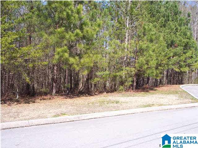 Lot 10 Edgewood Circle, Unit 9 Cleveland, AL 35049 - Photo 2 of 4