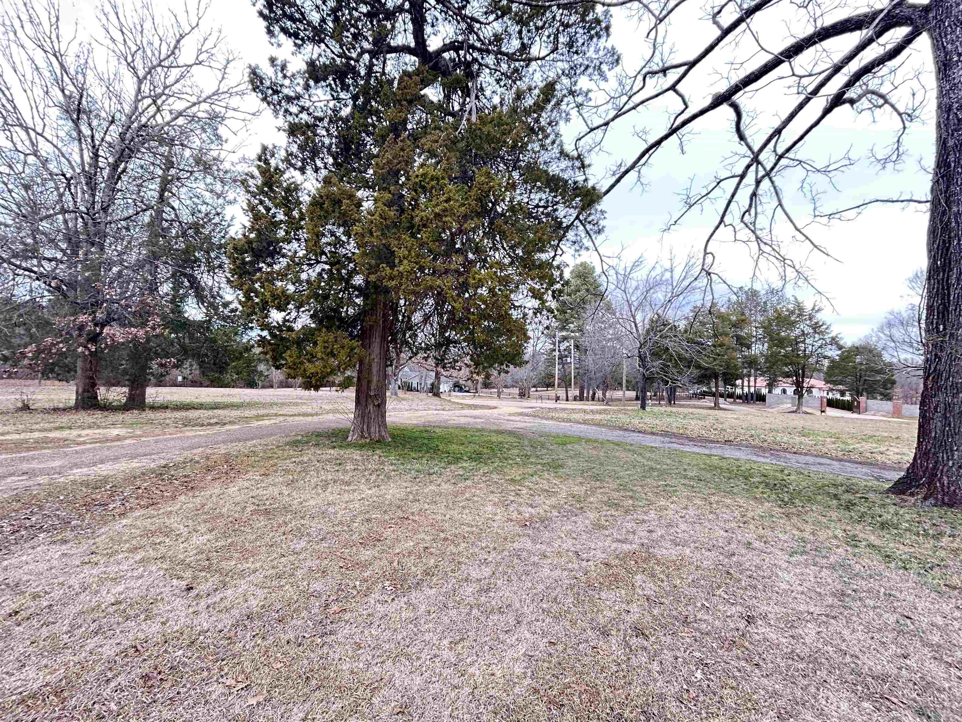 11381 Macon Road Eads, TN 38028 - Photo 8 of 21 a view of outdoor space with trees