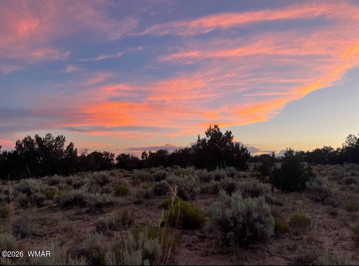 2 N7228 Chambers, AZ 86502 - Photo 11 of 20