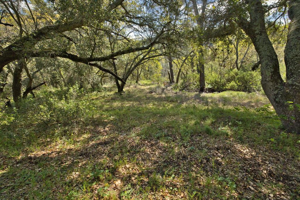 15805 Uvas Road Morgan Hill, CA 95037 - Photo 12 of 41