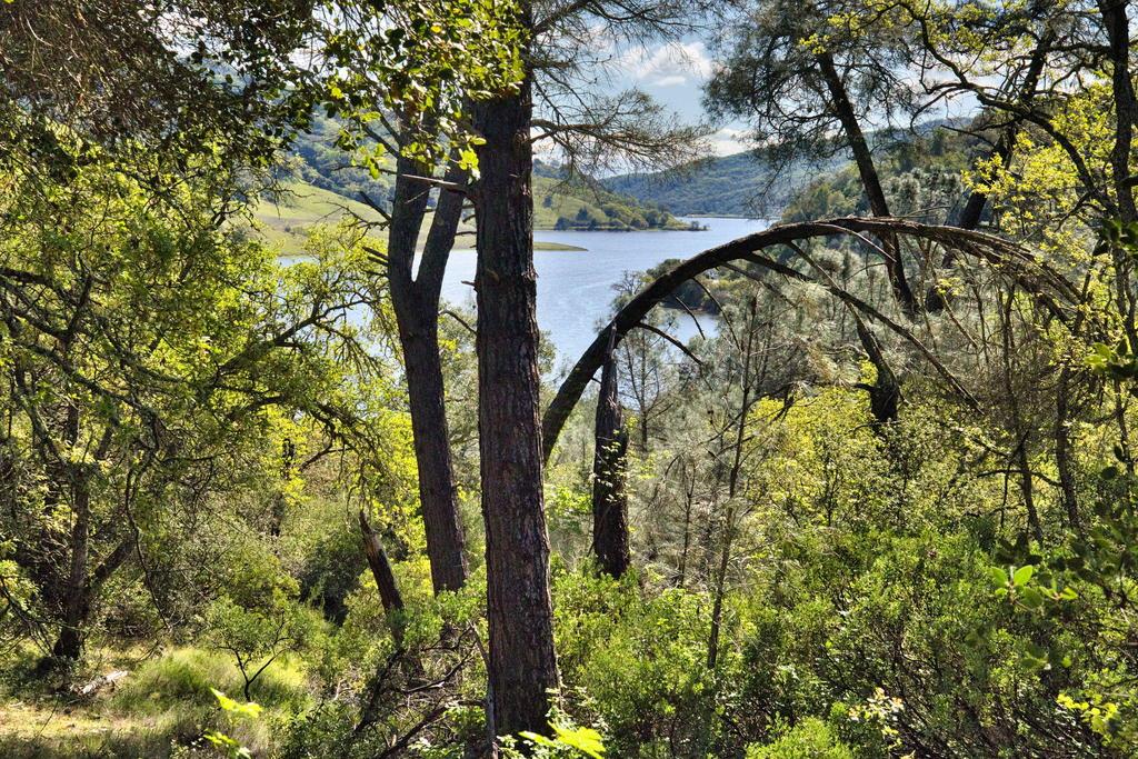15805 Uvas Road Morgan Hill, CA 95037 - Photo 17 of 41 a view of an outdoor space with a lake view