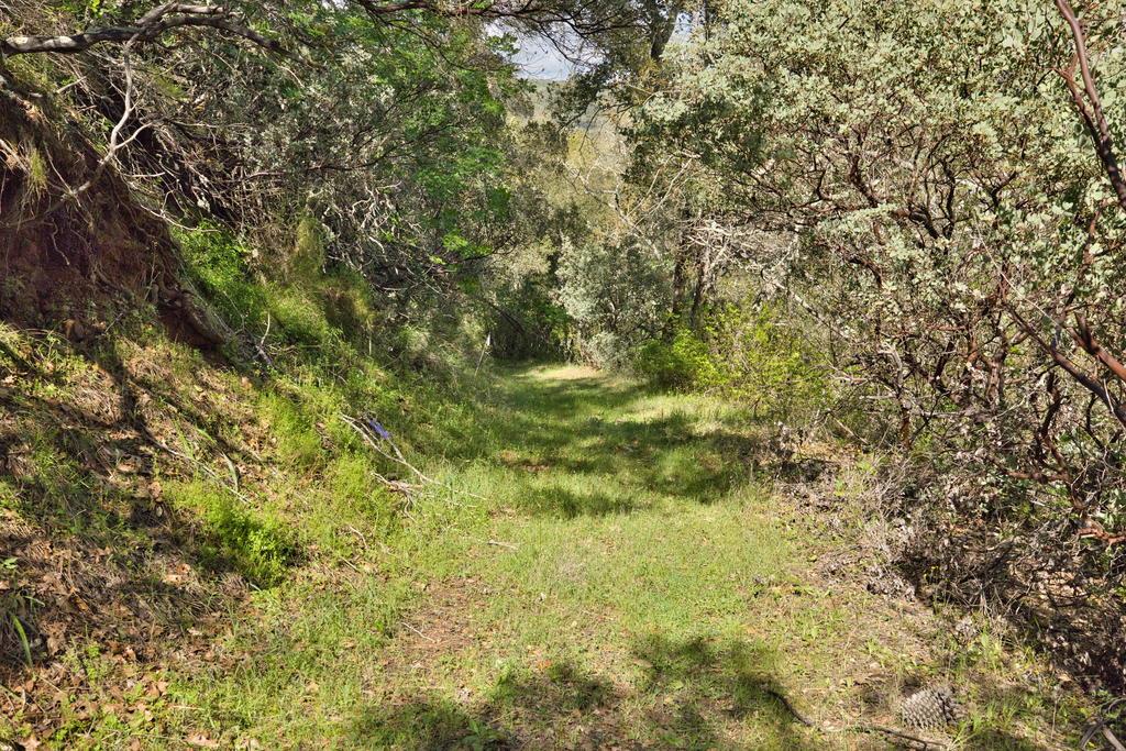 15805 Uvas Road Morgan Hill, CA 95037 - Photo 27 of 41 a view of a yard
