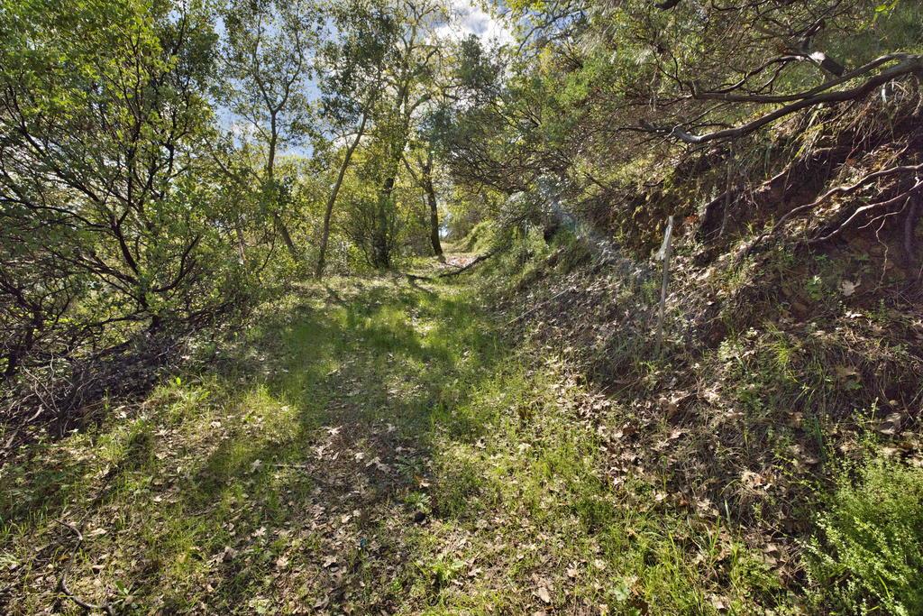 15805 Uvas Road Morgan Hill, CA 95037 - Photo 29 of 41 a view of a yard