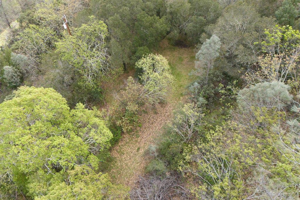 15805 Uvas Road Morgan Hill, CA 95037 - Photo 35 of 41 a view of a garden with plants