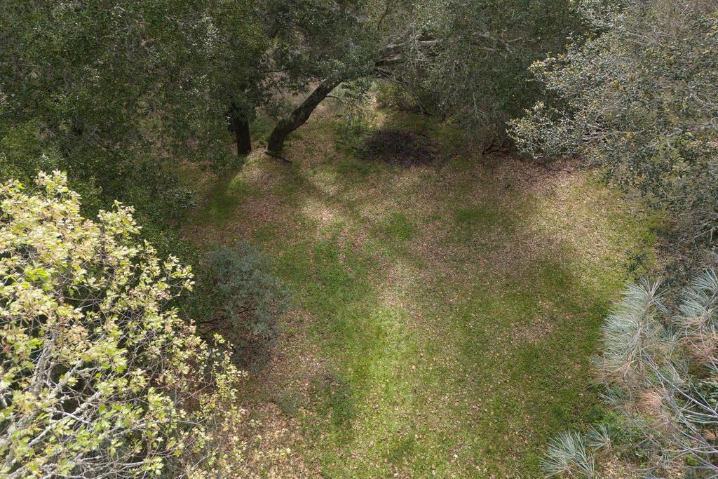 15805 Uvas Road Morgan Hill, CA 95037 - Photo 37 of 41 a view of a yard with a tree