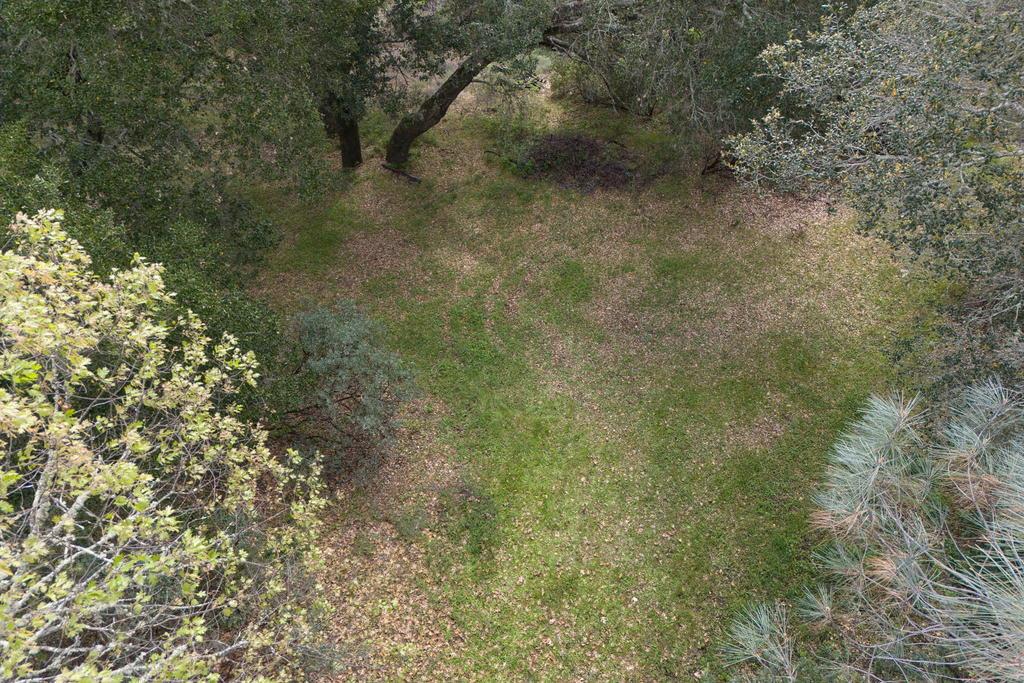 15805 Uvas Road Morgan Hill, CA 95037 - Photo 38 of 41 a view of a dry yard