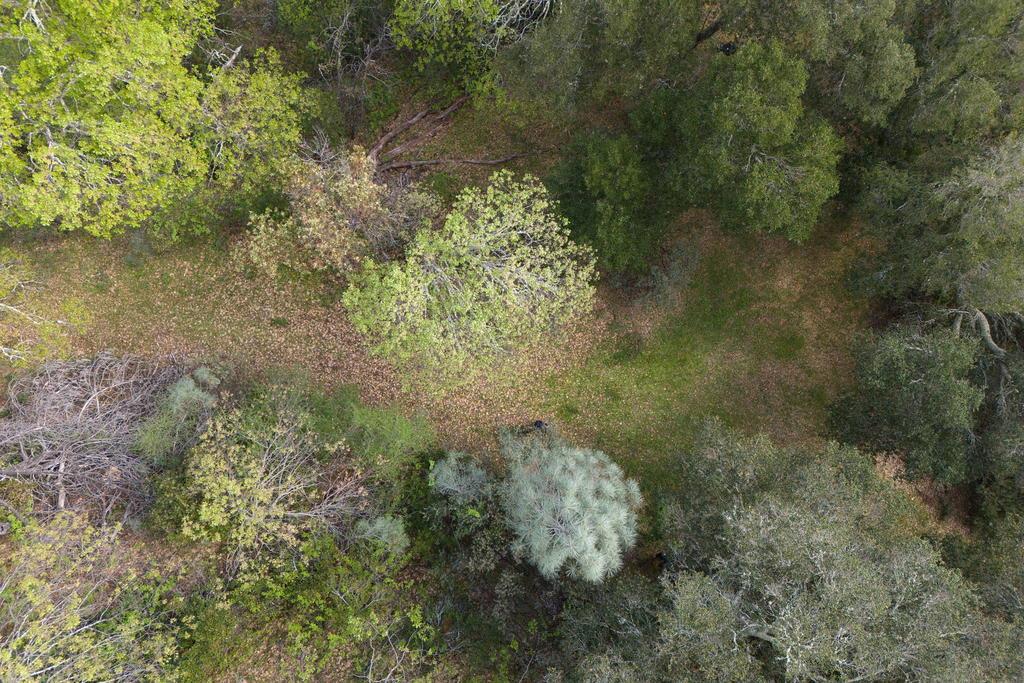 15805 Uvas Road Morgan Hill, CA 95037 - Photo 39 of 41 a view of a lake with a tree