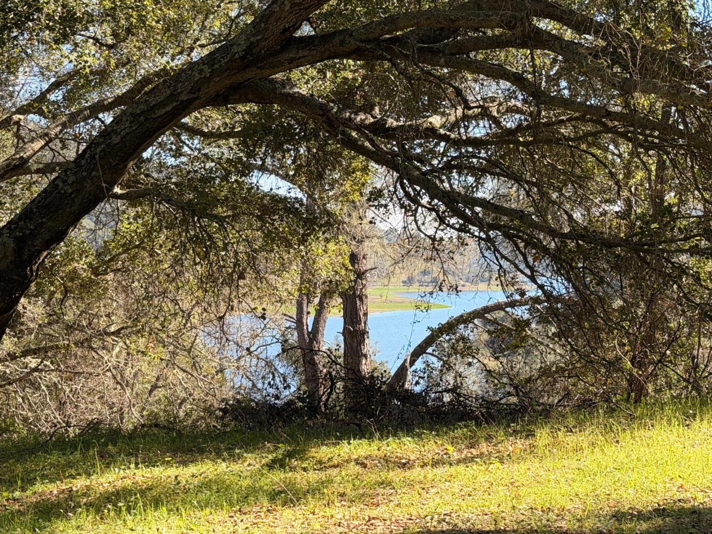15805 Uvas Road Morgan Hill, CA 95037 - Photo 5 of 41 a view of a yard