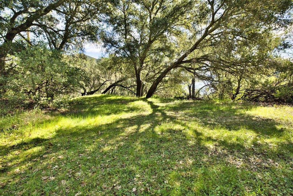 15805 Uvas Road Morgan Hill, CA 95037 - Photo 6 of 41 a backyard of a house with a yard and large trees