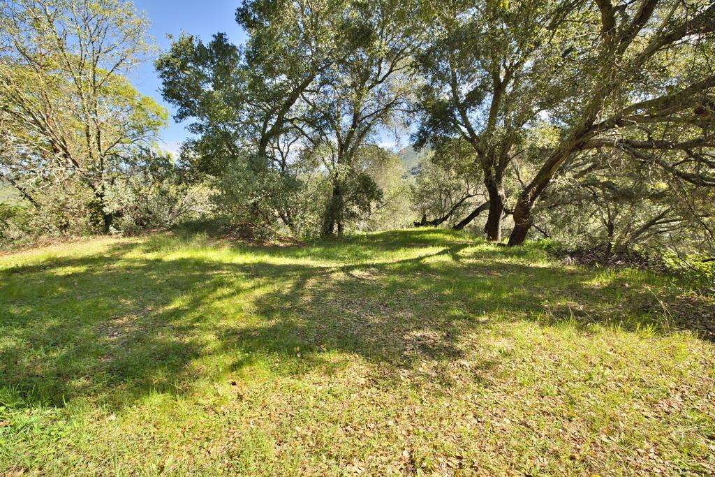 15805 Uvas Road Morgan Hill, CA 95037 - Photo 7 of 41 a yard with swimming pool and green space