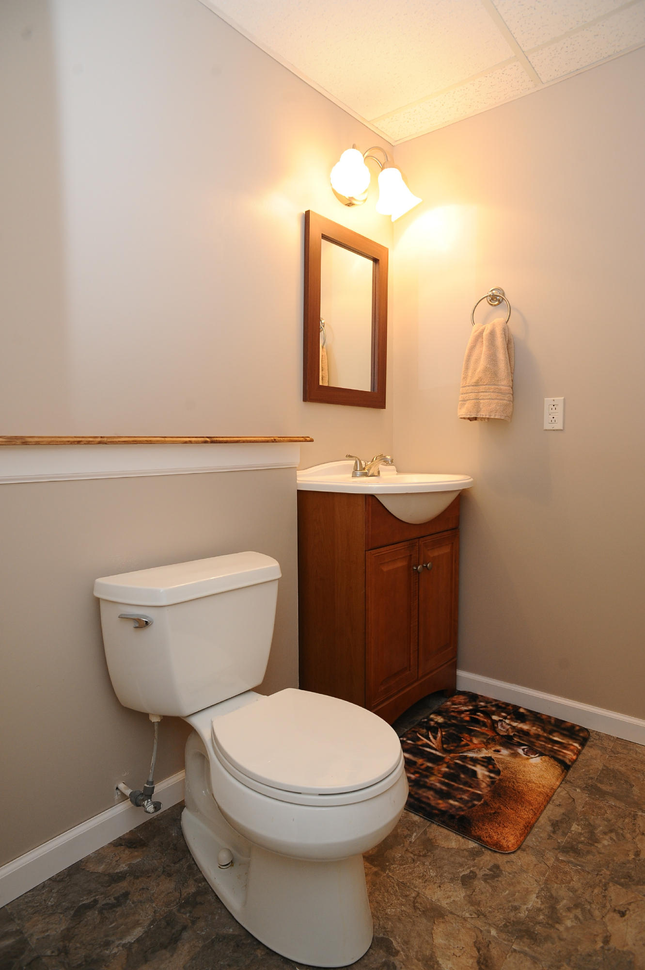 265 Northridge Road Hardy, VA 24101 - Photo 45 of 59 a bathroom with a toilet a sink and mirror
