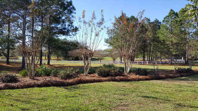 100 Craigend Loop Gulf Shores, AL 36542 - Photo 4 of 39