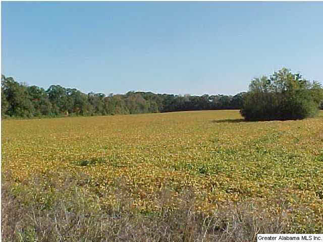 0 Eastaboga Road, Unit 36 AC Eastaboga, AL 36260 - Photo 1 of 1