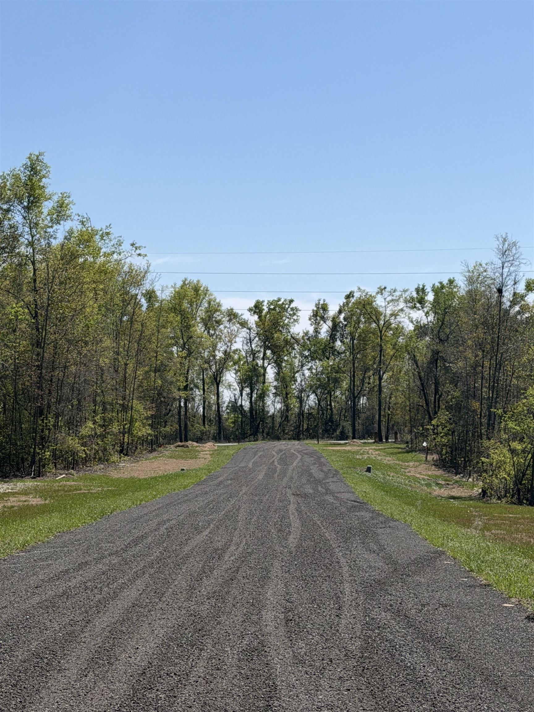 2 Highway 90 Holt, FL 32564 - Photo 6 of 24