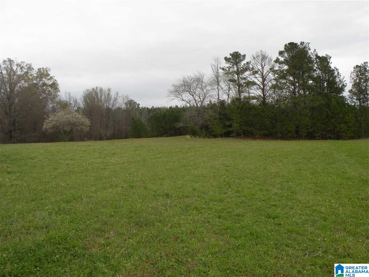 734 Branch Road Alpine, AL 35014 - Photo 33 of 33