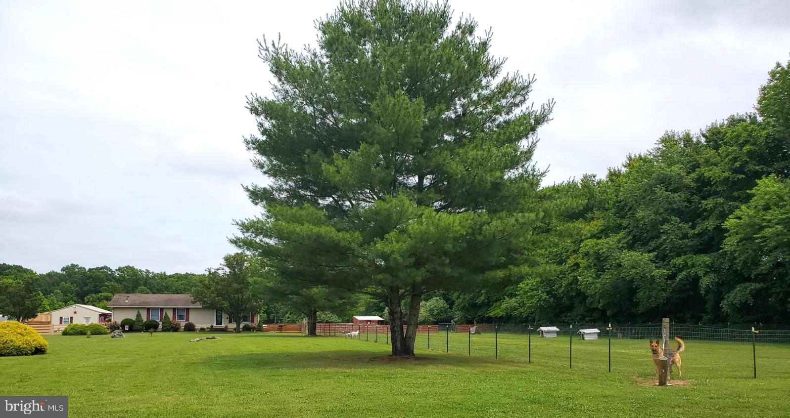 269 Walker School Road Townsend, DE 19734 - Photo 8 of 57