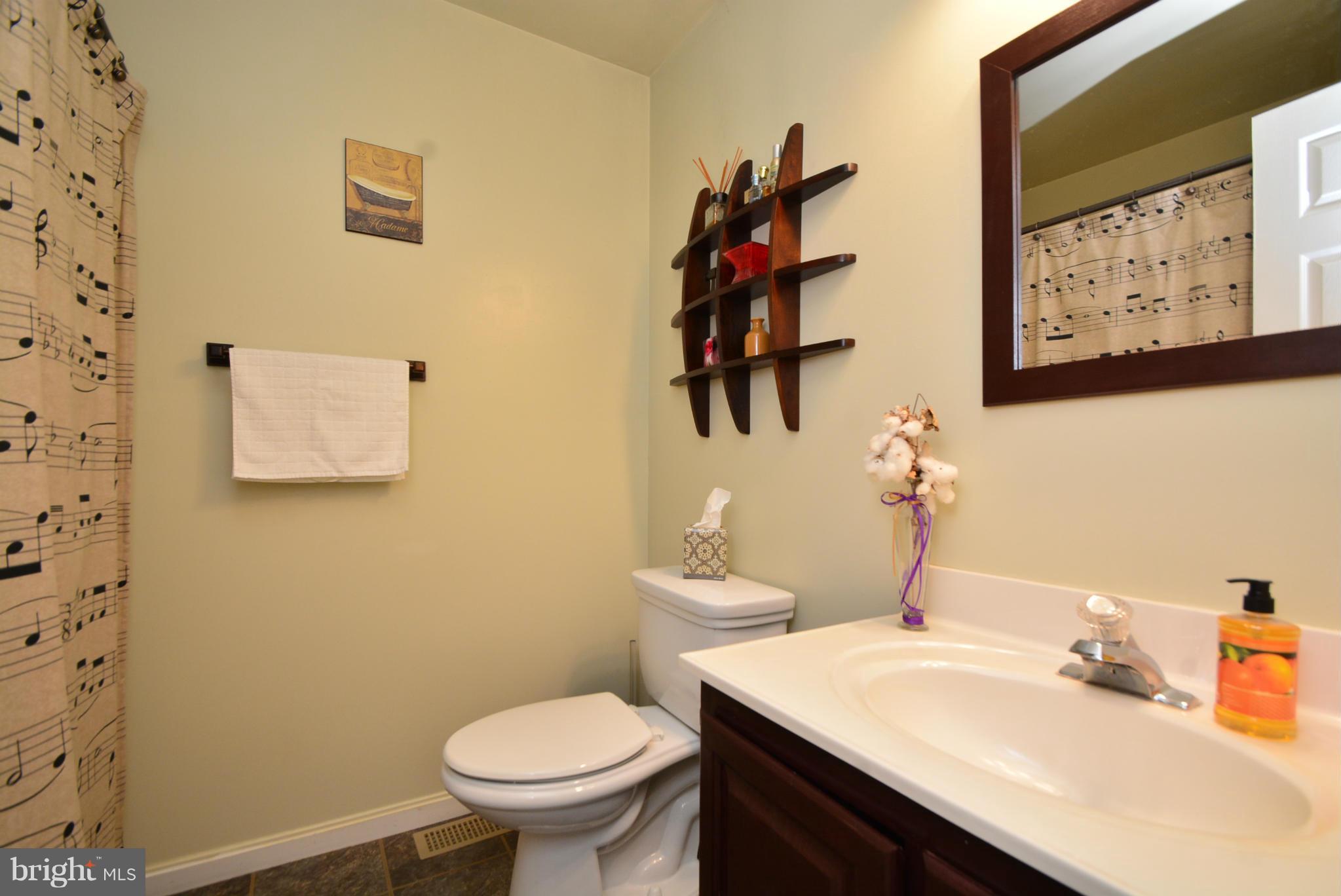 716 Carrollwood Road Baltimore, MD 21220 - Photo 15 of 30 Updated Hall Bath