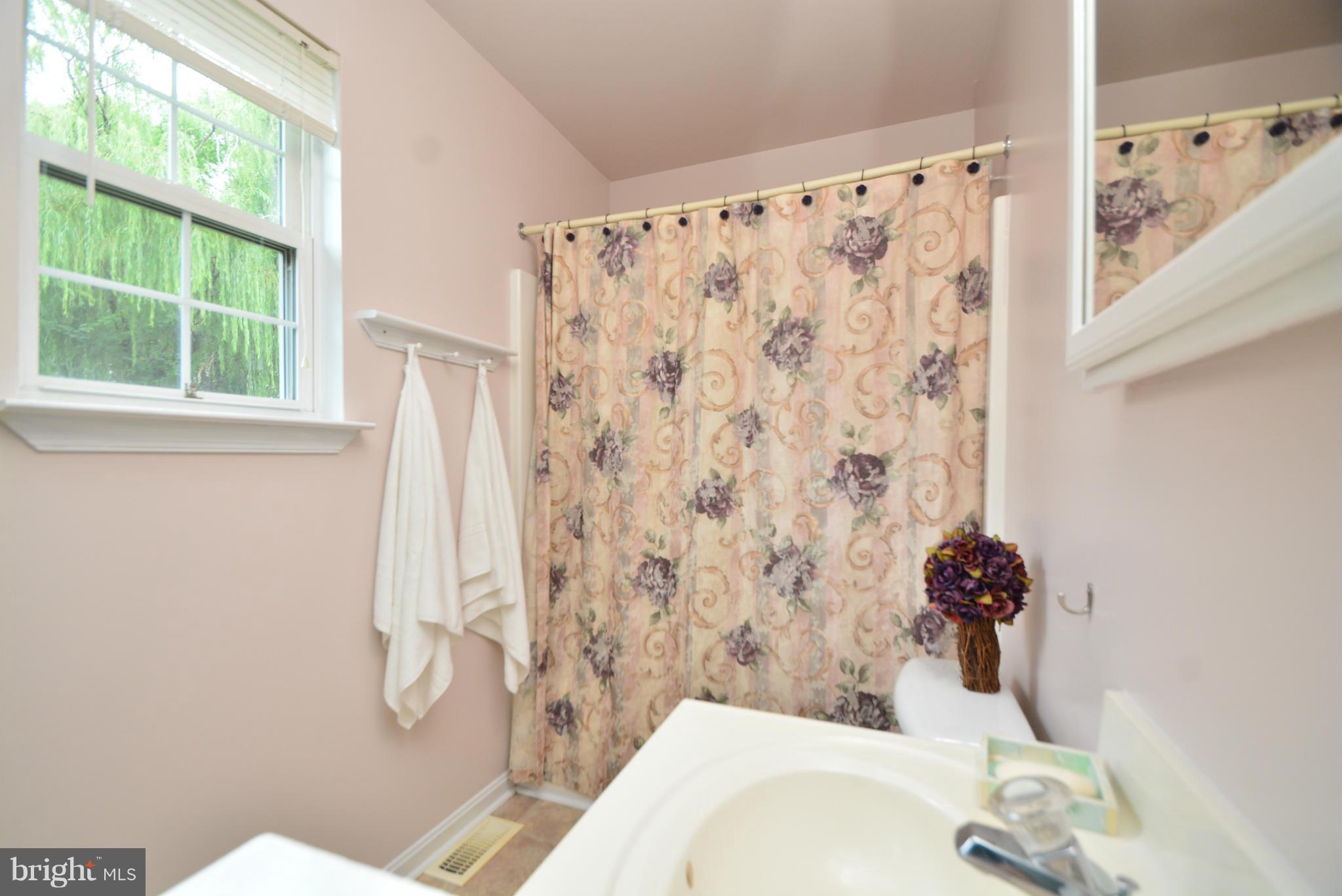716 Carrollwood Road Baltimore, MD 21220 - Photo 18 of 30 Bath (Master)