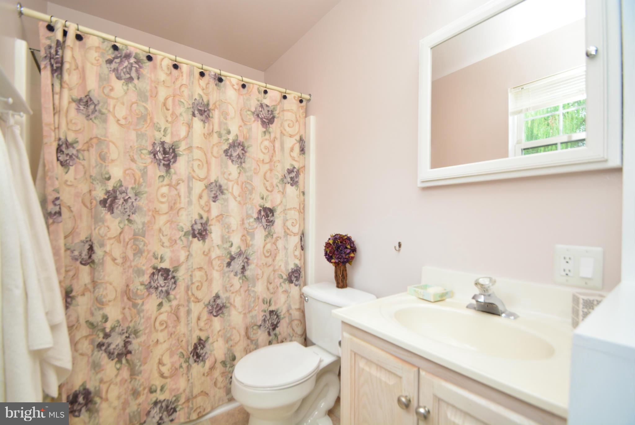 716 Carrollwood Road Baltimore, MD 21220 - Photo 19 of 30 Bath (Master)