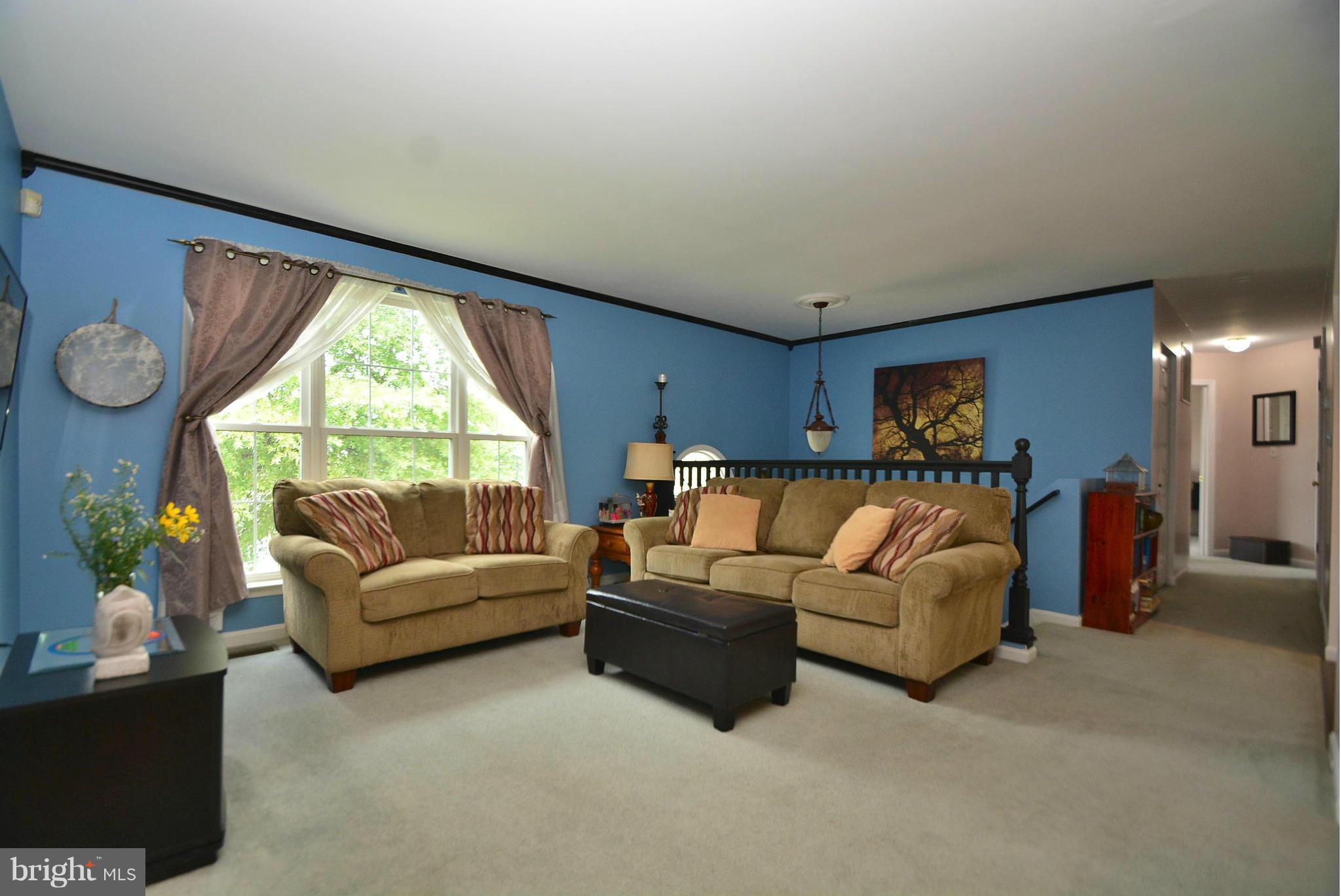 716 Carrollwood Road Baltimore, MD 21220 - Photo 3 of 30 Spacious Living Room