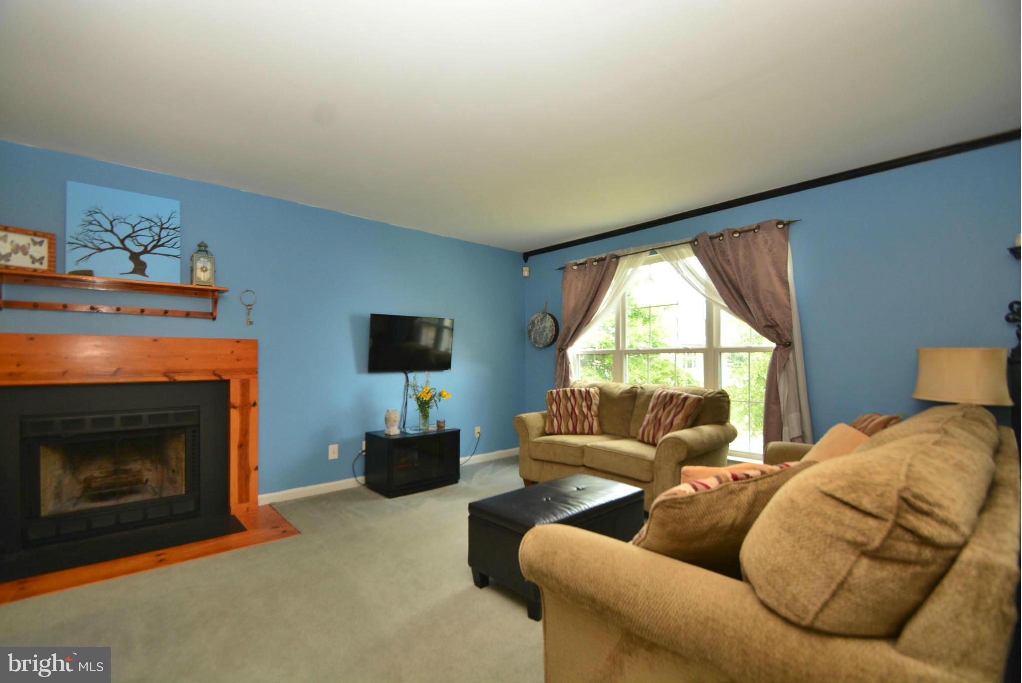 716 Carrollwood Road Baltimore, MD 21220 - Photo 4 of 30 Living Room with wood burning fireplace
