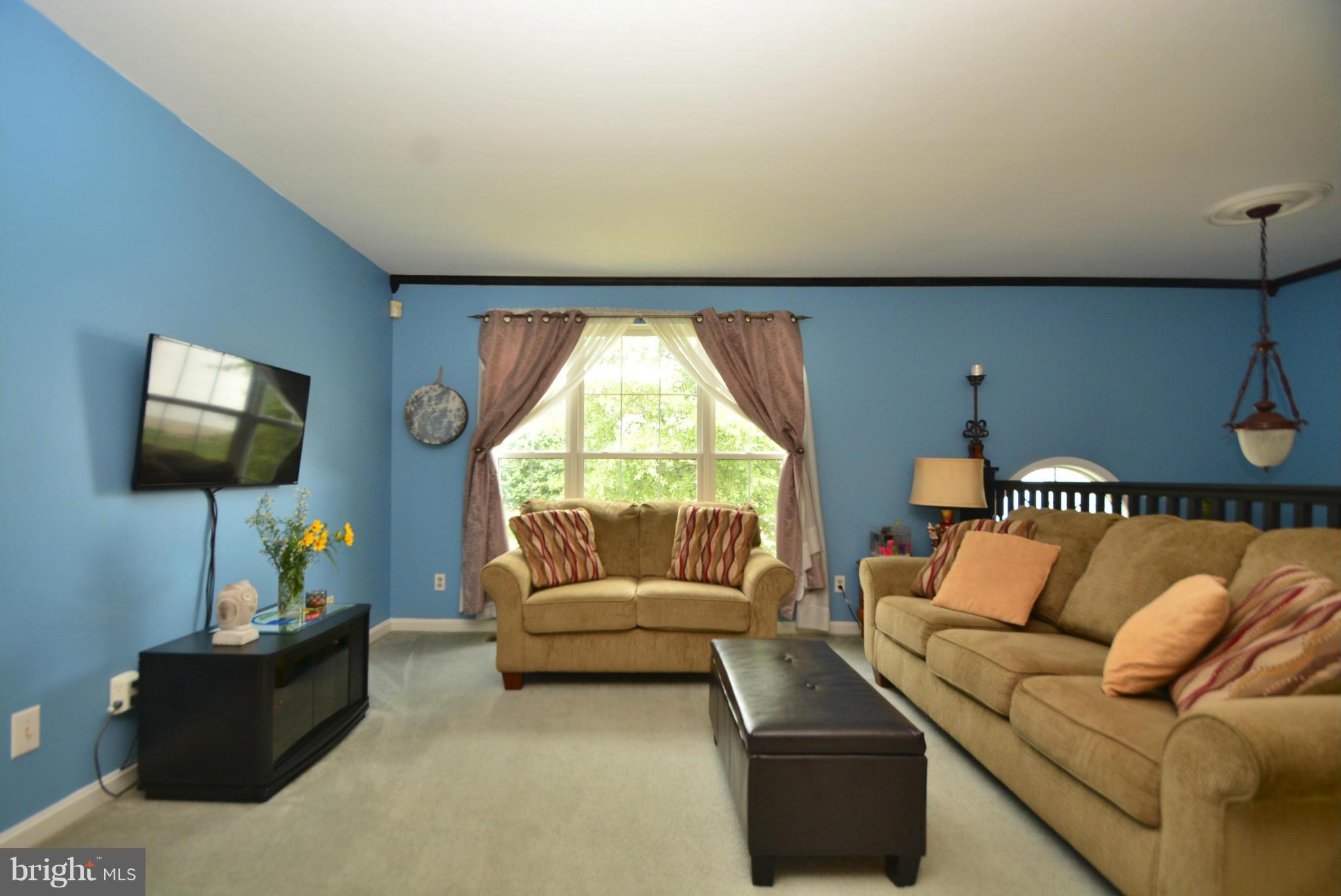 716 Carrollwood Road Baltimore, MD 21220 - Photo 5 of 30 Living Room