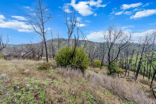 a view of a yard with an trees