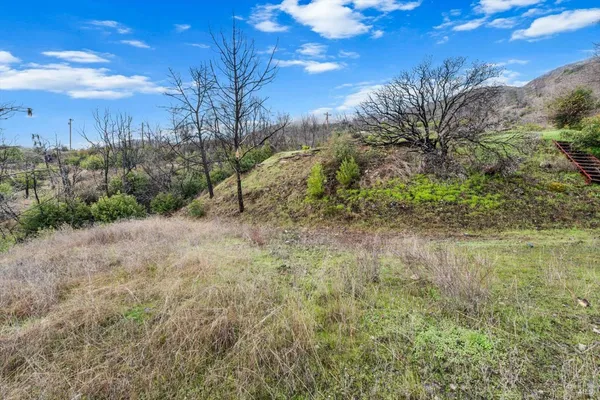 a view of a yard with trees