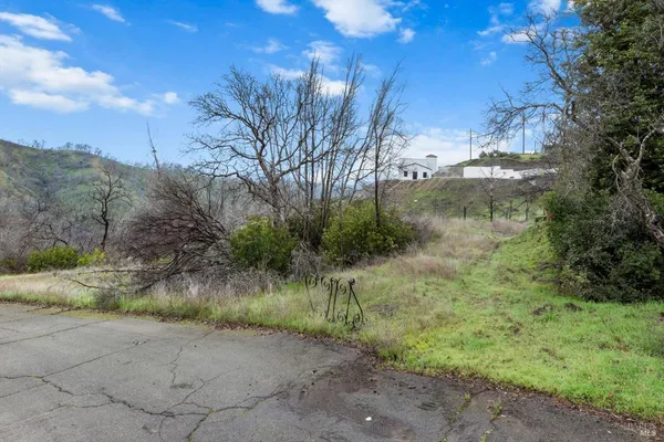 a view of a yard with a tree