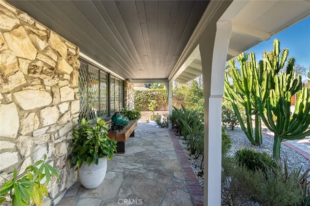 a view of a garden with plants
