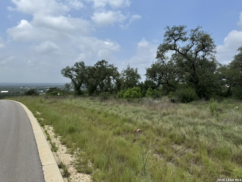 686 Butler Oaks Bulverde, TX 78163 - Photo 2 of 11