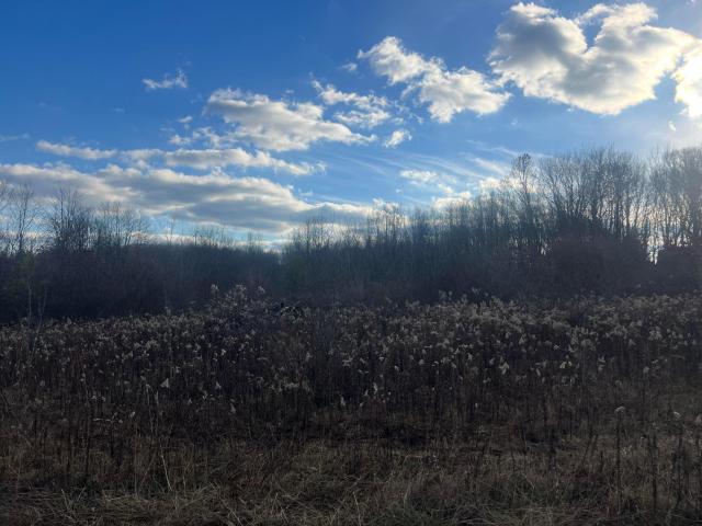 - Follett Run Road Warren, PA 16365 - Photo 5 of 6 Gallery Image 5