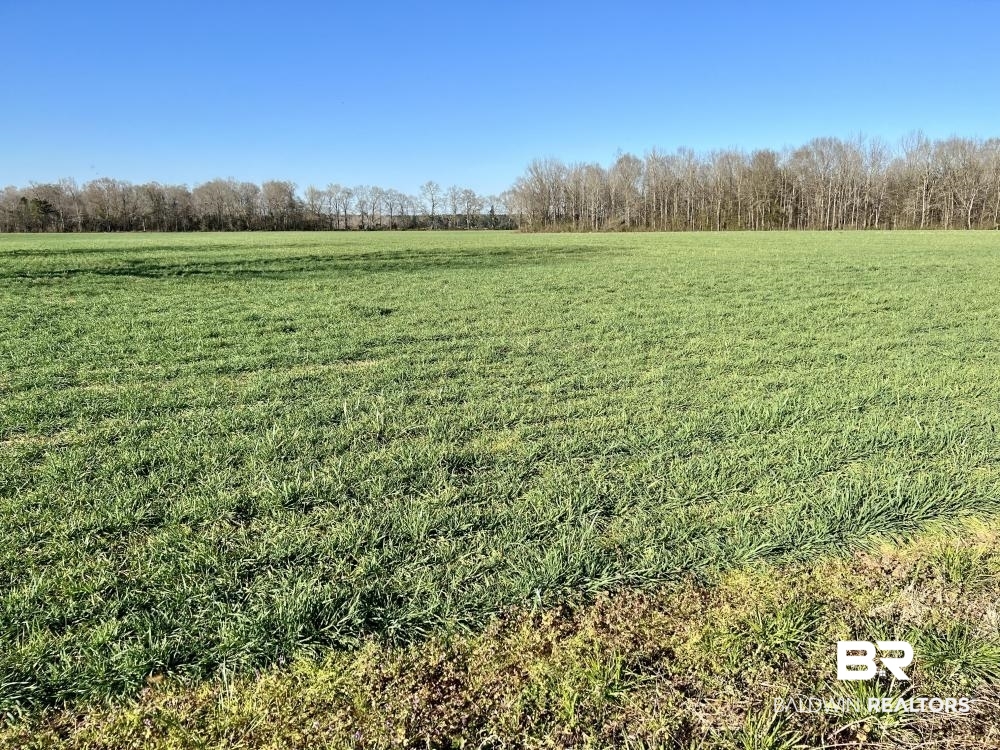 0 Byrd Road Atmore, AL 36502 - Photo 8 of 27 Gallery Image 8