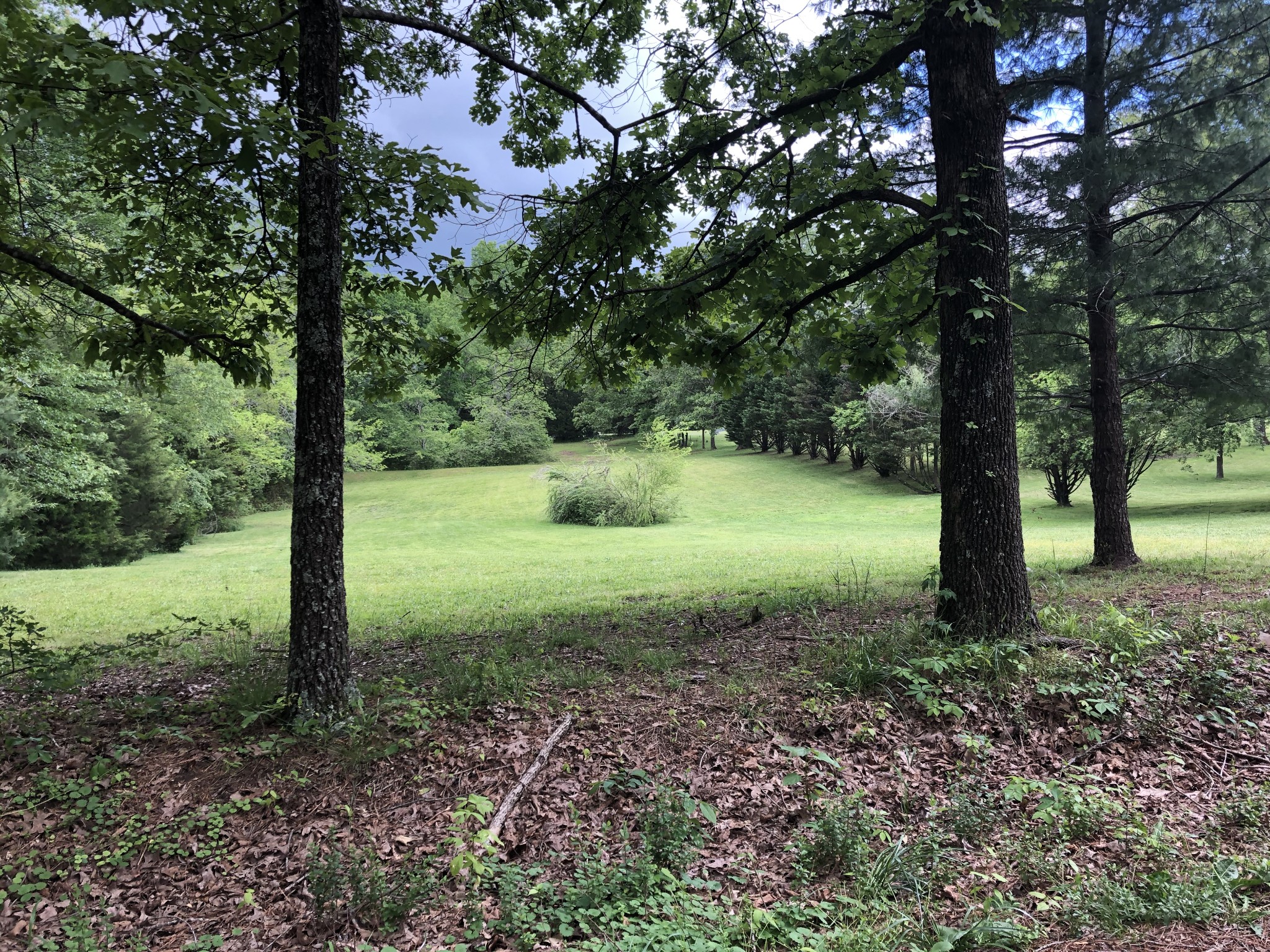 0 Ferbee Road Dickson, TN 37055 - Photo 1 of 2 Gallery Image 1