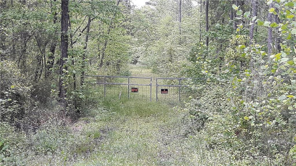 676 Flat Swamp Road Denton, NC 27239 - Photo 1 of 6 Gallery Image 1
