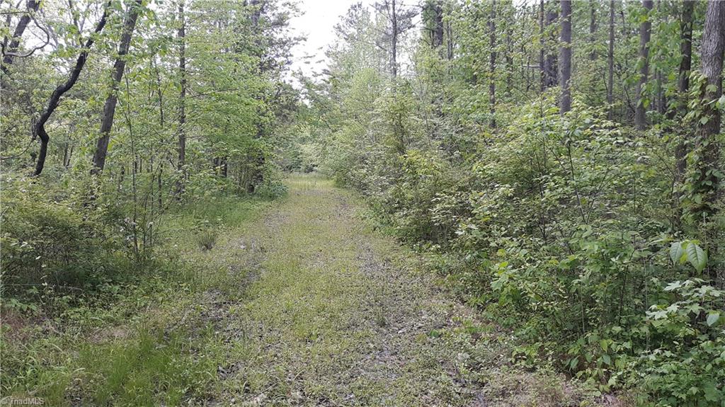 676 Flat Swamp Road Denton, NC 27239 - Photo 2 of 6 Gallery Image 2