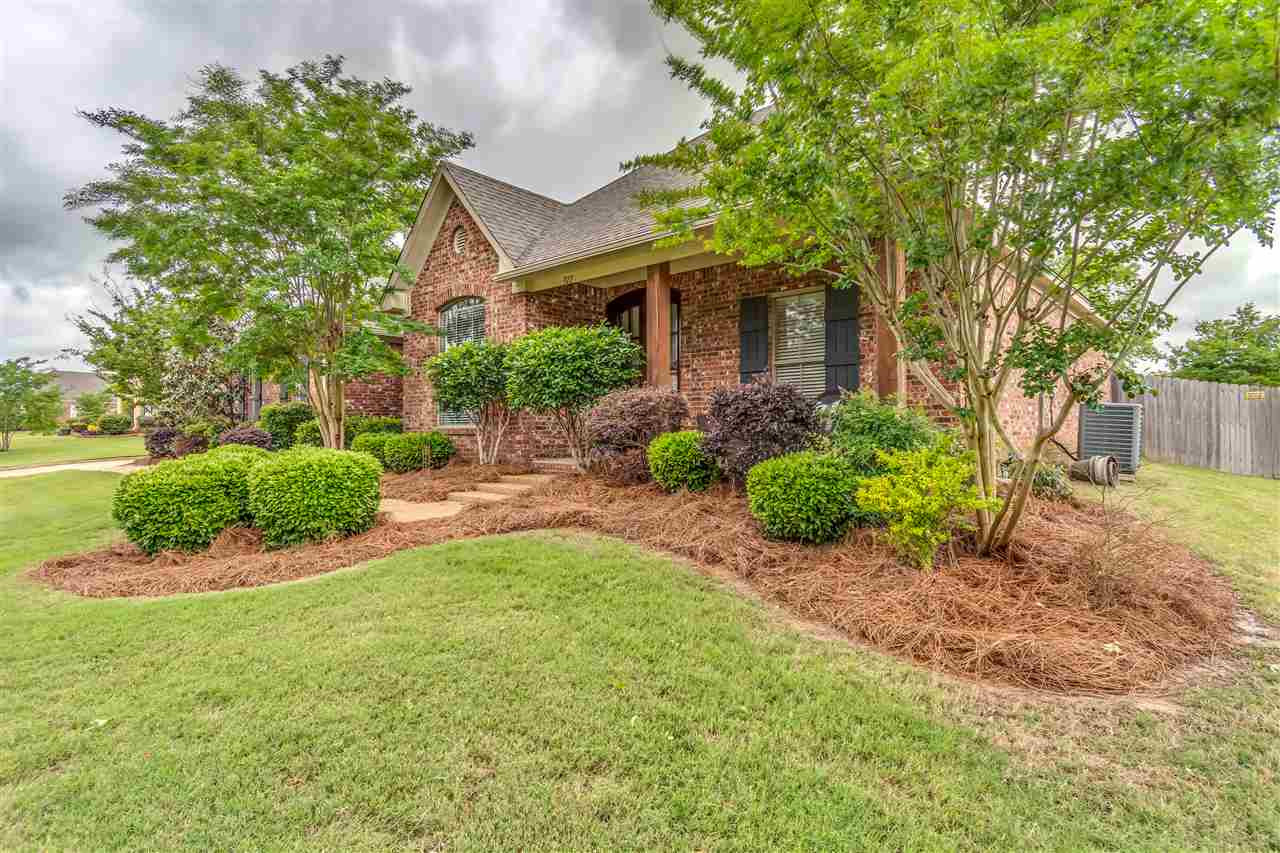 322 Towne Street Brandon, MS 39042 - Photo 4 of 49 Photo 4