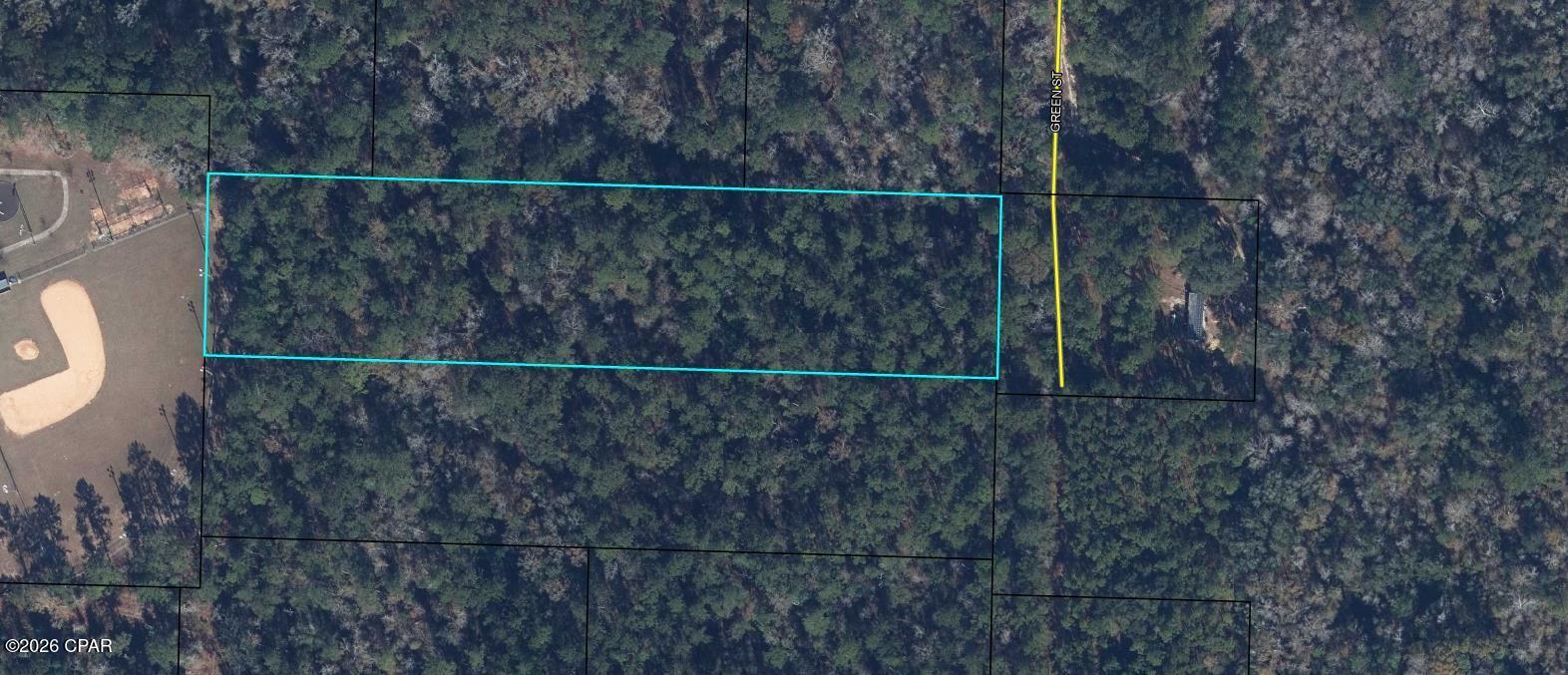 Tbd Green Street Vernon, FL 32462 - Photo 2 of 2