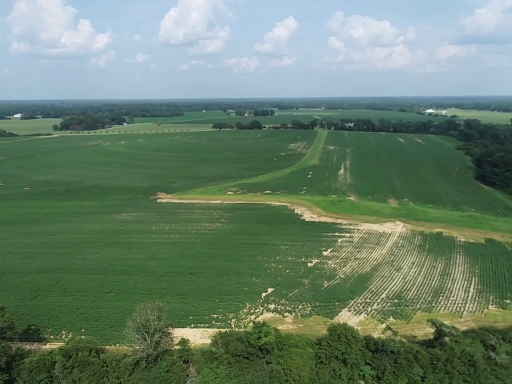 132.3-ac Green Road Dothan, AL 36303 - Photo 23 of 63