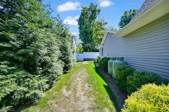 a view of a garden with plants