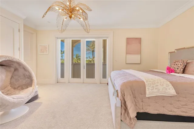 a view of a backyard with palm trees