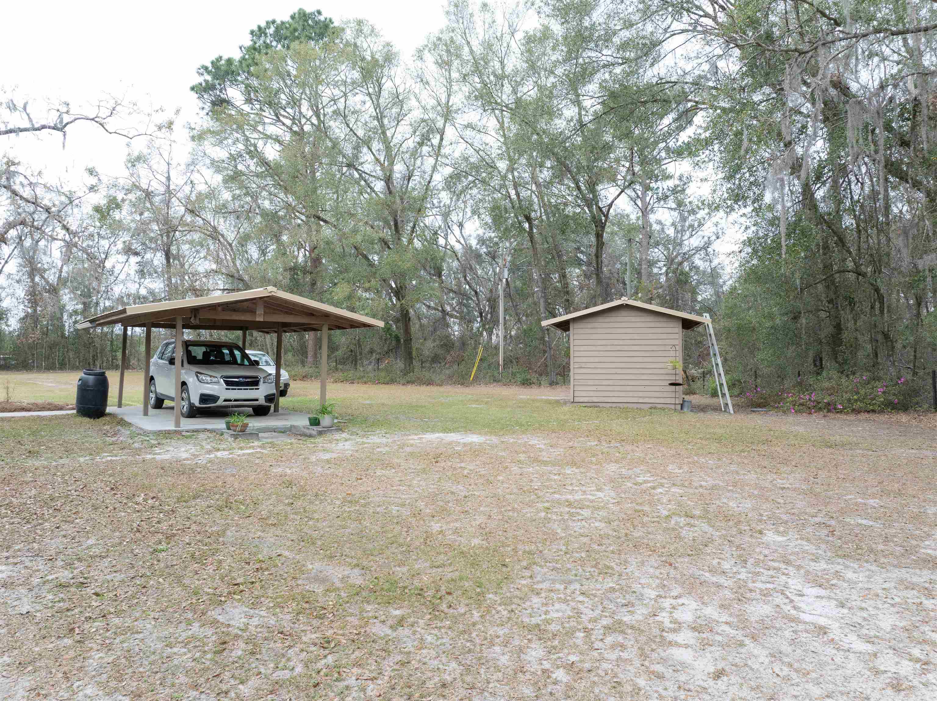 380 Northeast Rue Drive Pinetta, FL 32350 - Photo 7 of 42 Gallery Image 7